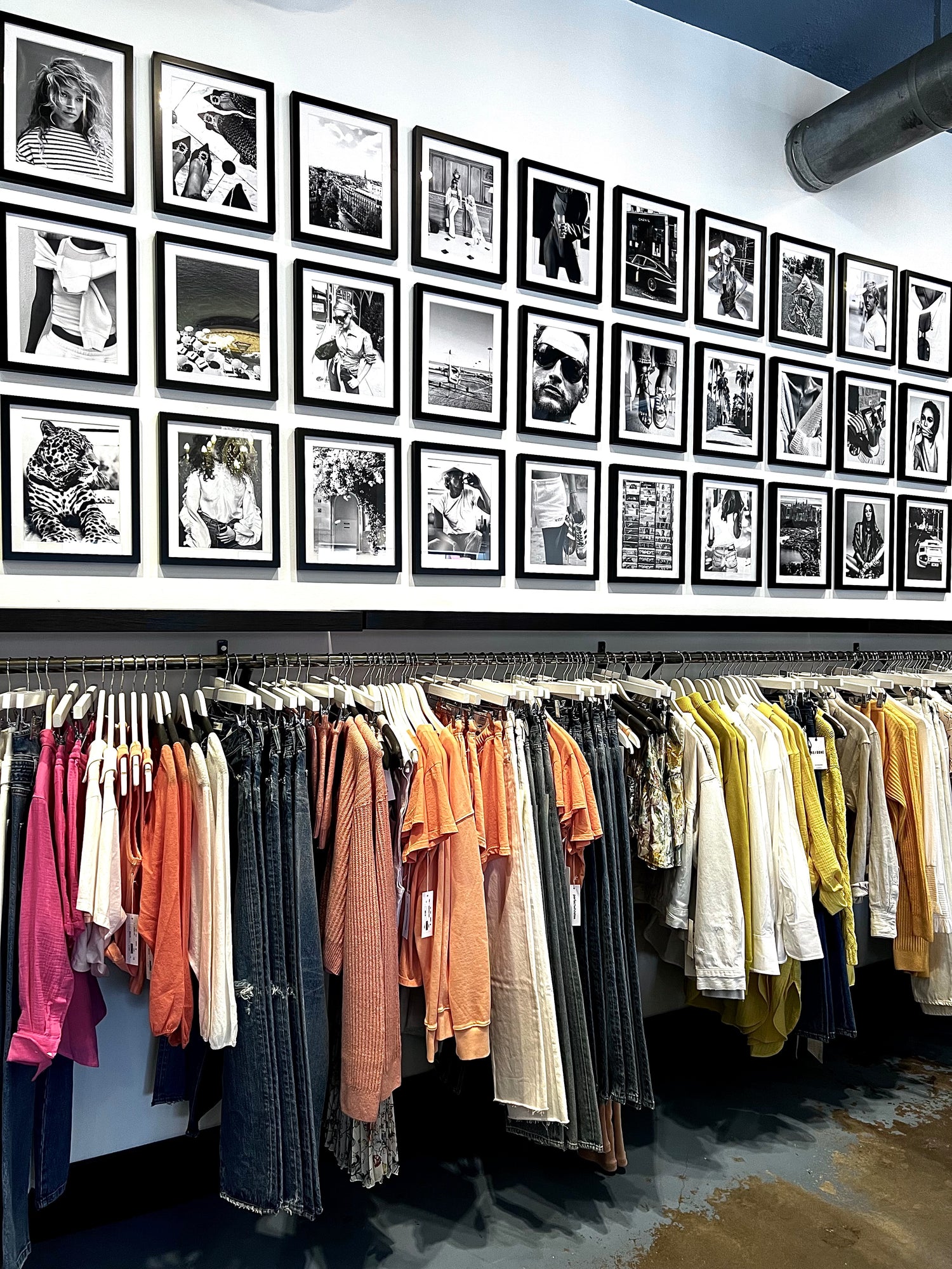 Bluebird Boutique Women's Clothing Edina, Minnesota bluebird boutique